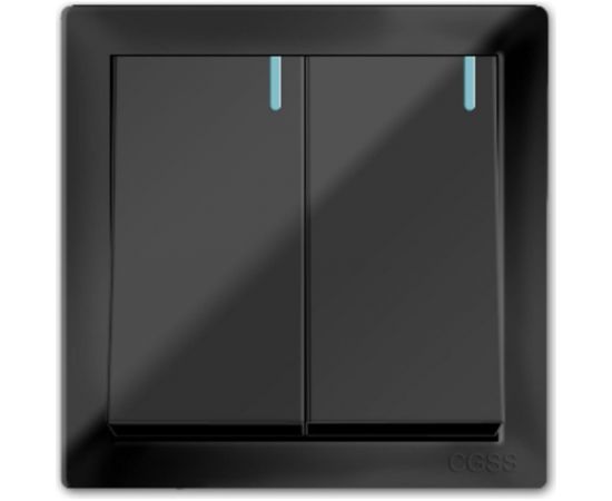 Двухклавишный выключатель CGSS черный Практика PL-W102-BCM – изображение 2