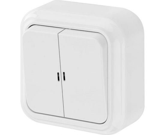 Выключатель Bylectrica 2-клавишная, открытая установка, 10А с подсветкой, серия ПРАЛЕСКА, белый, А510-215 