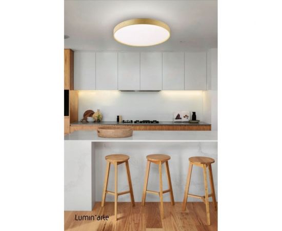 Светодиодный светильник Luminarte 90Вт, с пультом дист. управления, RGB STARWOOD-WH CLL47 – изображение 3