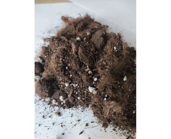 Грунт Сила Суздаля Орхидея Black, 5 л 4680004061731 – изображение 7