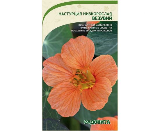 Семена Садовита Настурция Везувий низкорослая 1 г 00222576 