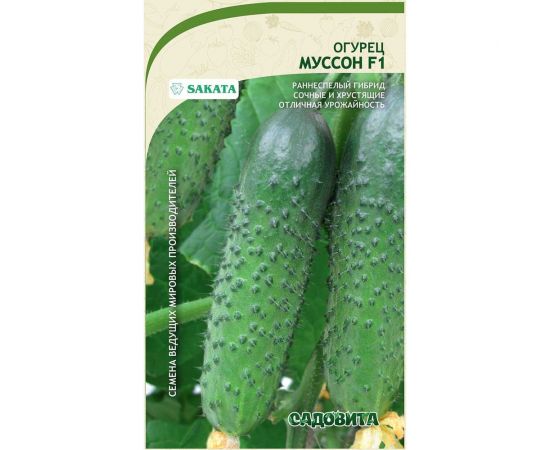 Семена Садовита Огурец Муссон F1 5 шт. Sakata 00216531 