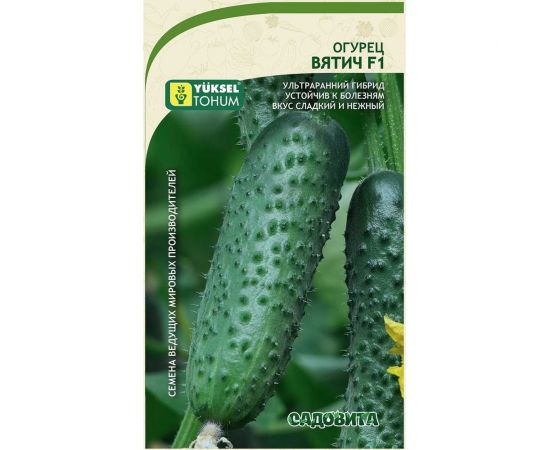 Семена Садовита Огурец Вятич F1 5 шт. Yuksel Tohum 00216528 