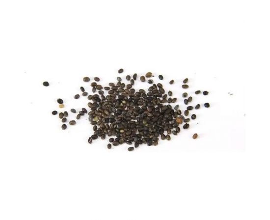 Семена ОКТЯБРИНА ГАНИЧКИНА Чабер Ароматный 0.2 г 120170 – изображение 3