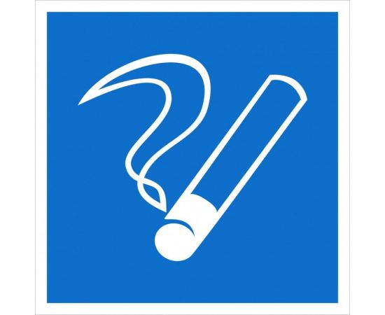 Наклейка-информационный знак REXANT Место курения, 100х100мм 56-0032 