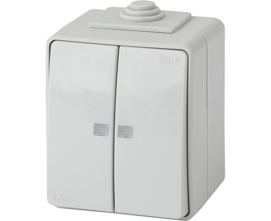 Двойной выключатель ЭРА 11160503 с подсветкой IP65, 10АХ250В, ОУ, Б0035977 