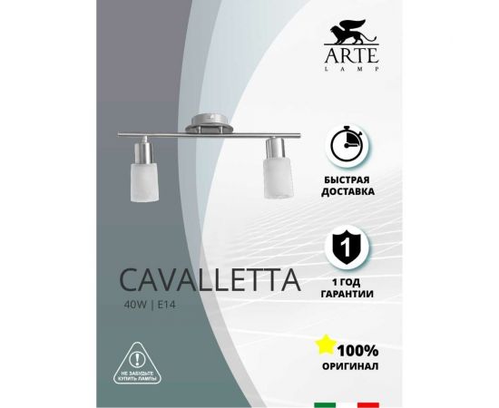 Потолочный светильник Arte Lamp A4510PL-2SS – изображение 2