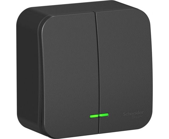 2-клавишный выключатель Schneider Electric Blanca наружный, Антрацит с подсветкой 10А SE BLNVA105116 