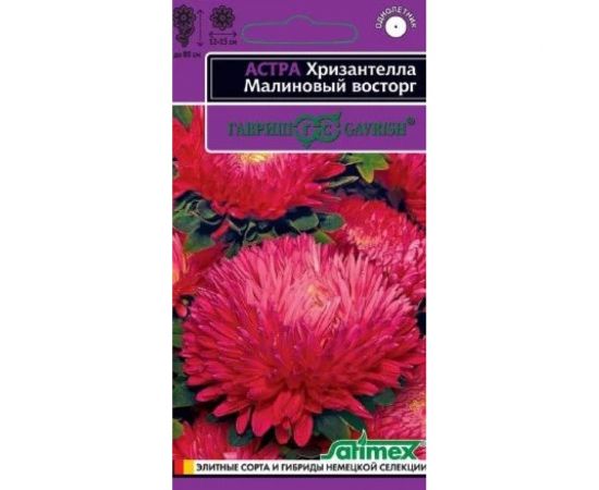 Семена ГАВРИШ Астра Хризантелла Малиновый восторг (хризантемовидная) 0.05 г 1070008067 