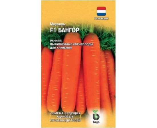 Морковь ГАВРИШ Бангор F1 150 шт. (Голландия) 191224095 