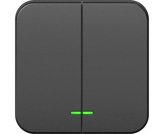 2-клавишный выключатель Schneider Electric Blanca наружный, Антрацит с подсветкой 10А SE BLNVA105116 – изображение 2
