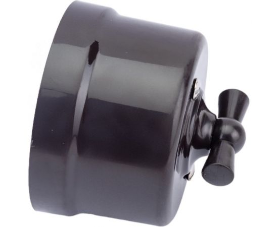 Переключатель BIRONI Пластик Коричневый 1-клавишный B1-201-22 – изображение 2