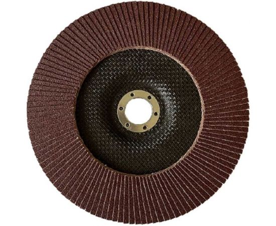 Круг лепестковый плоский (10 шт; 125х22 мм; Р60) SKRAB 35842 – изображение 3