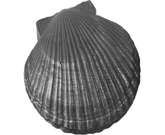 Чугунный камень для бани LK Ракушка малая 97x79x42 мм КЧР-3 О-1207341 