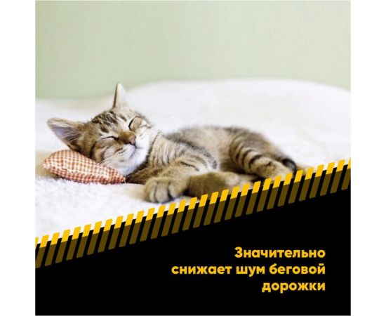 Смазка для беговых дорожек EFELE, 100 г 0096988 – изображение 4