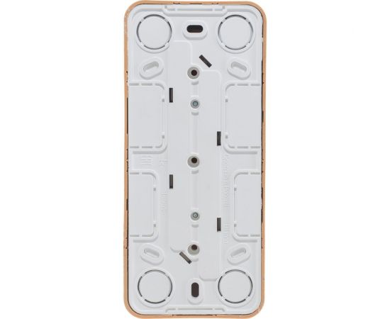 Розетка Schneider Electric BLANCA трехместная, без заземления, без штор, ясень BLNRA000315 – изображение 5