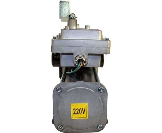 Насос перекачки бензина керосина Петролл Polaris ex (220v) 6016 – изображение 3