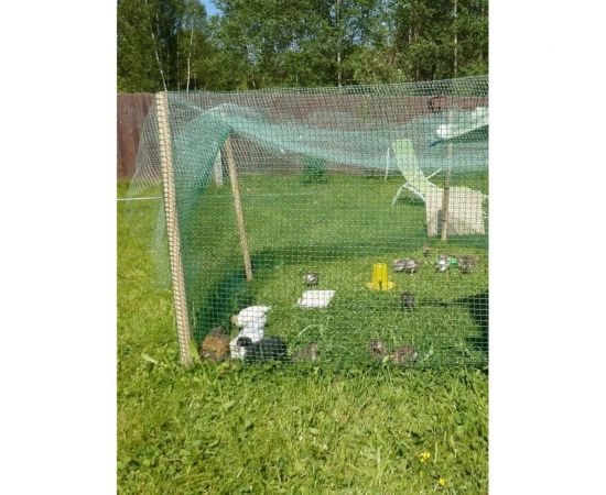 Квадратная садовая сетка зеленый луг 15x15 1,0x10 Удачная Р1-00008662 – изображение 7