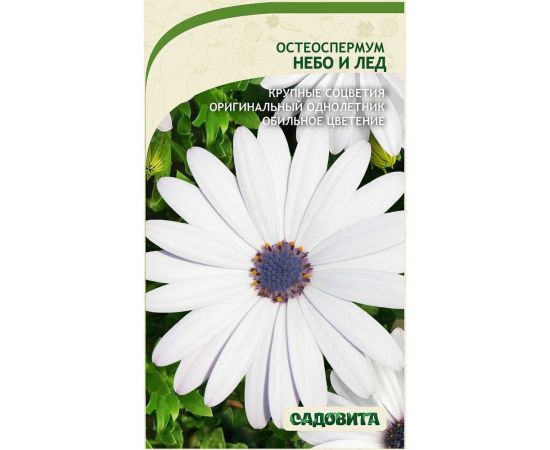 Семена Садовита Остеоспермум Небо и лед 0.1 г 00208020 