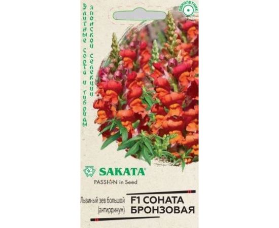 Антирринум ГАВРИШ Львиный зев Соната бронзовая 7 шт, Саката серия Элитная клумба 1071856912 