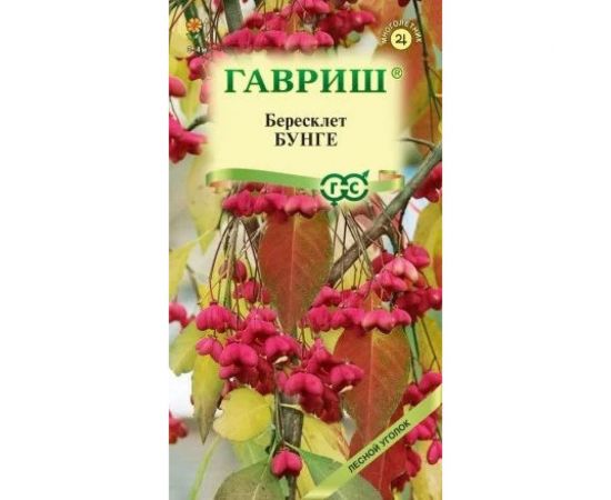 Семена ГАВРИШ Бересклет Бунге 0.2 г 10000071 