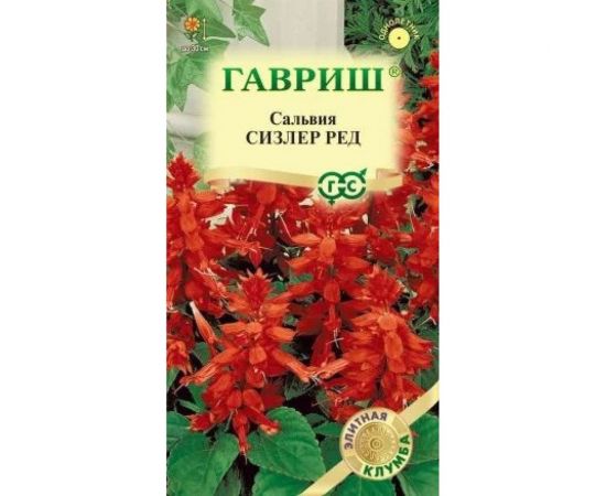 Семена ГАВРИШ Сальвия Сизлер Ред 4 шт., серия Элитная клумба 1071858189 