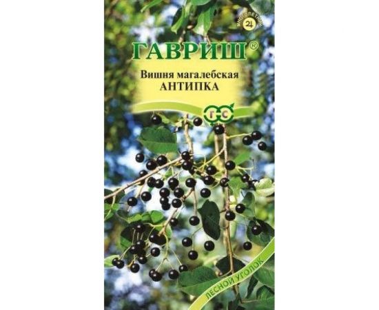 Семена ГАВРИШ Вишня Антипка магалебка 1 г 1999942749 