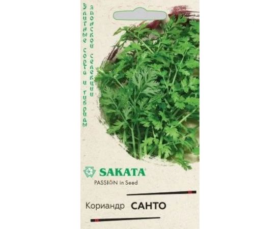 Семена ГАВРИШ Кориандр Санто 2 г (Саката) 1912236671 