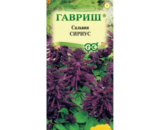 Сальвия ГАВРИШ Сириус, карликовая 4 шт 1071858190 