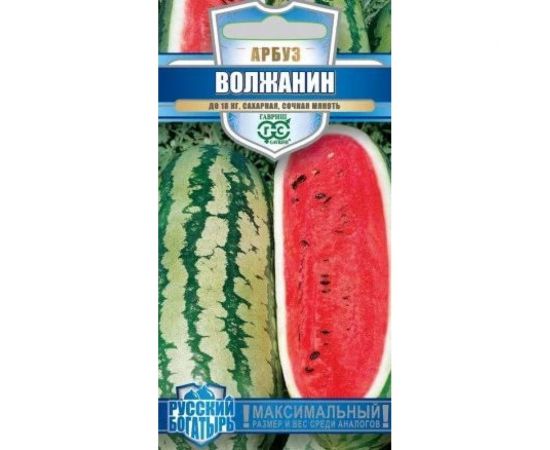 Семена ГАВРИШ Арбуз Волжанин Русский богатырь 1 г 1999943516 