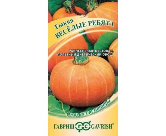 Семена ГАВРИШ Тыква Веселые ребята 1.0 г, авторские 1999943648 