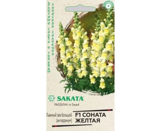 Антирринум ГАВРИШ (Львиный зев) Соната желтая, 7 шт, Саката серия Элитная клумба 1071856920 