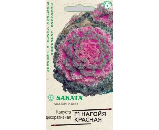 Капуста ГАВРИШ декоративная, Нагойя красная 6 шт, Саката серия Эксклюзив 1071858736 