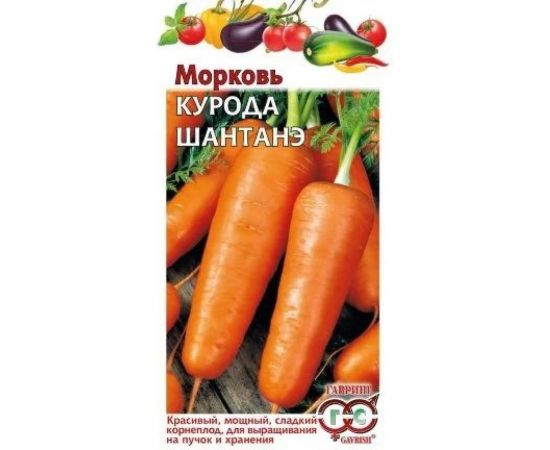 Семена ГАВРИШ Морковь Курода Шантанэ 2.0 г 10008699 