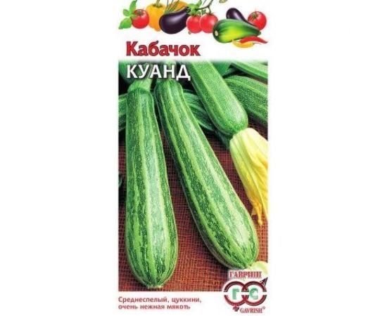 Кабачок ГАВРИШ Куанд 2 г 1372 