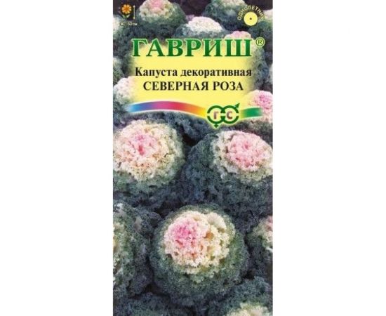 Капуста декоративная ГАВРИШ Северная роза 0.05 г воронежская розовая 1071858732 