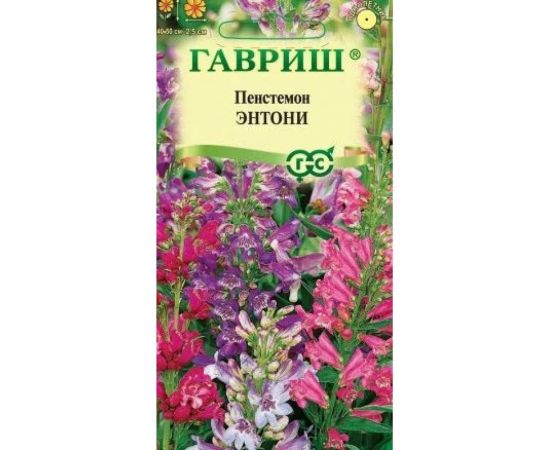 Семена ГАВРИШ Пенстемон гибридный Энтони, смесь 0,1 г 19102070 