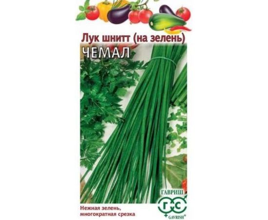 Семена ГАВРИШ Лук шнитт Чемал, на зелень, 0.5 г 191021275 
