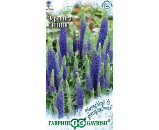Вероника ГАВРИШ Синяя длиннолистная 0.02 г, Устойчив к заморозкам 1071857741 