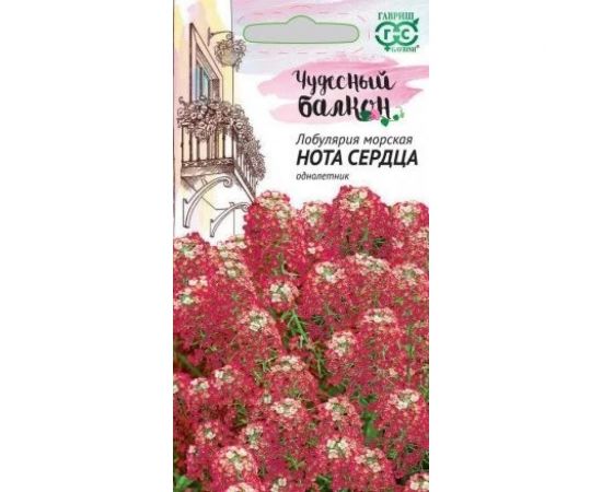 Семена ГАВРИШ Лобулярия Нота сердца 0.05 г Чудесный балкон 1071858056 