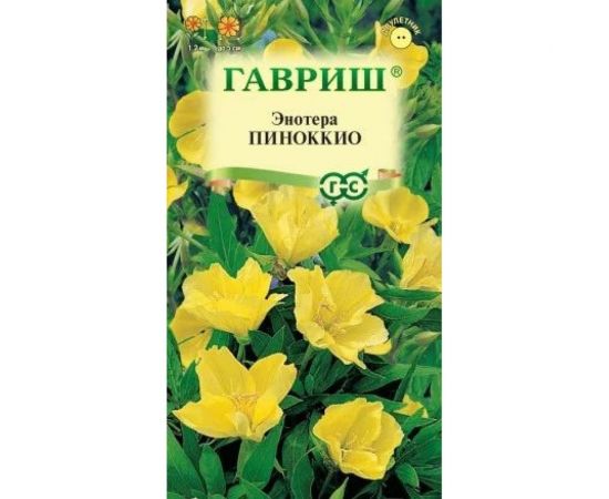 Энотера ГАВРИШ Пиноккио (двулетняя) 0,3 г 4603913 