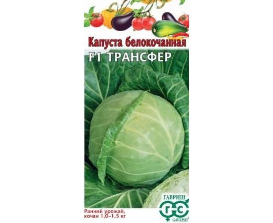 Капуста ГАВРИШ белокочанная Трансфер 10 шт, ранняя 1071856503 