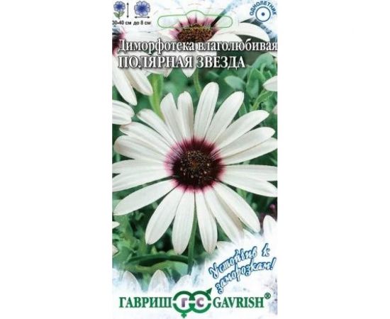 Диморфотека ГАВРИШ Полярная звезда 0.1 г Устойчив к заморозкам 1071857668 