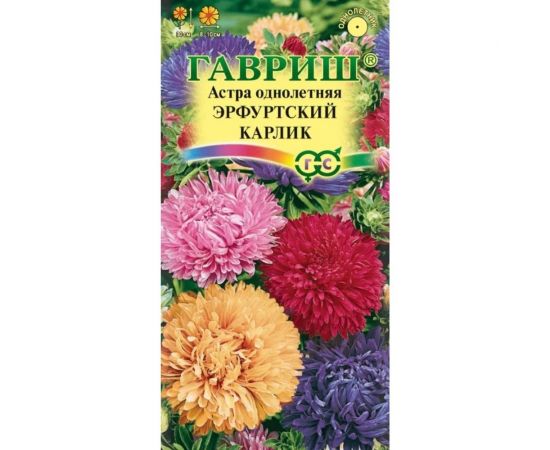 Семена ГАВРИШ Астра Эрфуртский карлик, однолетняя смесь 0.3 г 00001621 