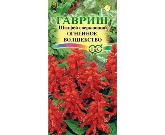Шалфей Сальвия ГАВРИШ Огненное волшебство 0.05 г 1071858185 