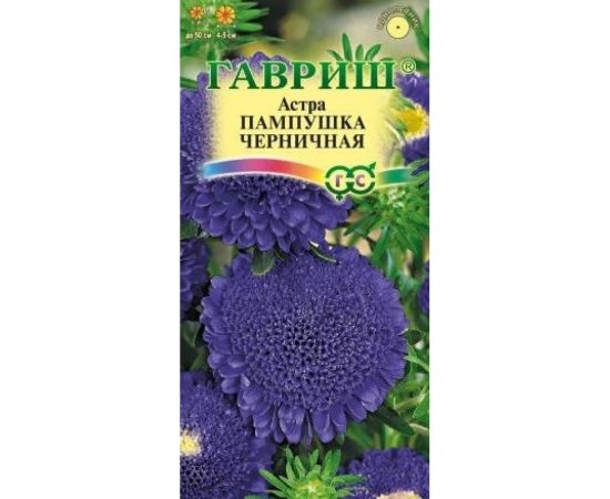 Семена ГАВРИШ Астра Пампушка черничная, однолетняя (помпонная), 0.3 г 10006543 