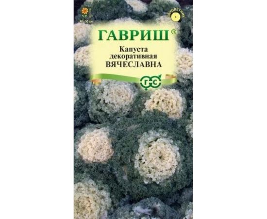 Капуста декоративная ГАВРИШ Вячеславна 0.05 г воронежская белая 1071858725 