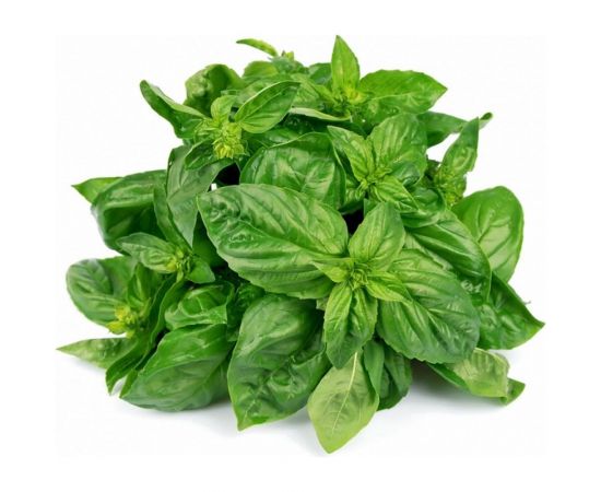 Семена Гавриш Базилик Лимонный аромат 0,1 г 2020 – изображение 2