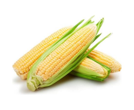 Семена ГАВРИШ Кукуруза Золотой лед F1 5 г 4601616 – изображение 2