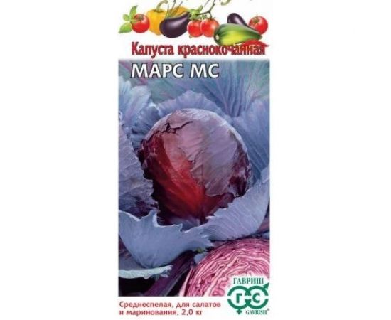 Капуста краснокочанная ГАВРИШ Марс М?? 0.1 г 1071856527 – изображение 2